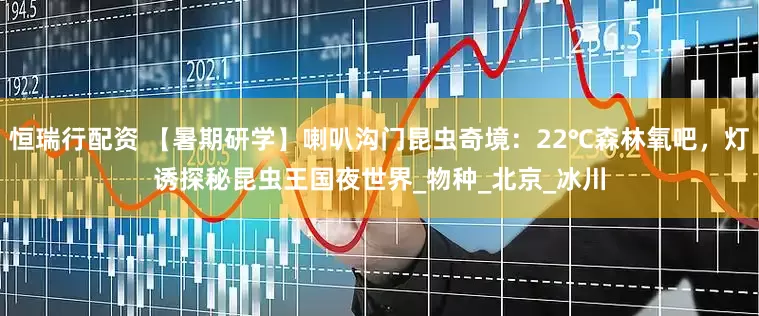 恒瑞行配资 【暑期研学】喇叭沟门昆虫奇境：22℃森林氧吧，灯诱探秘昆虫王国夜世界_物种_北京_冰川